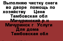 Выполняю чистку снега во дворе, помощь по хозяйству,  › Цена ­ 500 - Тамбовская обл., Мичуринский р-н, Мичуринск г. Услуги » Для дома   . Тамбовская обл.